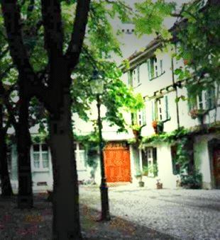 Münsterplatz 4